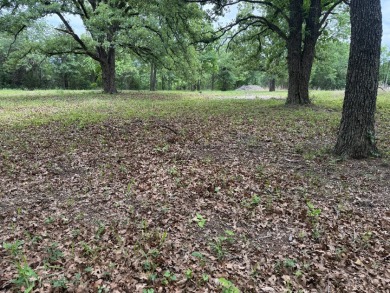 Peaceful .65 Acre Homesite with Boat Ramp Access in April Cove - photo 18