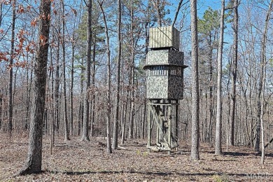 (private lake, pond, creek) Acreage For Sale in Patton Missouri