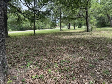 Peaceful .65 Acre Homesite with Boat Ramp Access in April Cove - photo 22