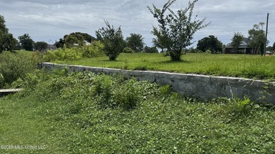 Rare opportunity to own TWO adjoining & elevated waterfront lots - photo 6