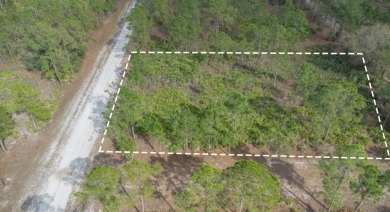 Lake Lot For Sale in Indian Lake Estates, Florida