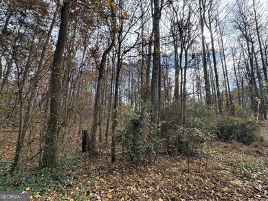 Lake Home For Sale in Acworth, Georgia