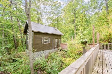 Lake Home For Sale in Leroy, Michigan
