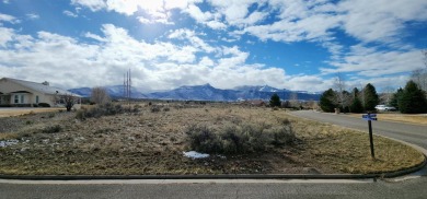 Colorado River Lot For Sale in Battlement Mesa Colorado