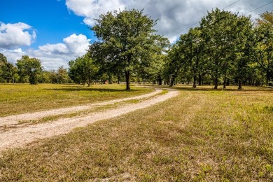 (private lake, pond, creek) Home For Sale in Bedias Texas