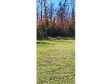 Lake Huron - Mackinac County Commercial For Sale in Bois Blanc Island Michigan