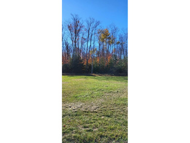 Lake Huron - Mackinac County Commercial For Sale in Bois Blanc Island Michigan