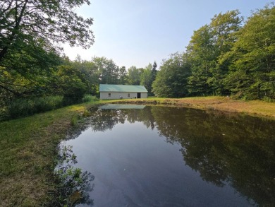 Lake Home For Sale in Otselic, New York