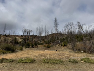 Lake Lot Sale Pending in Greenville, California