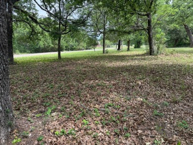 Peaceful .65 Acre Homesite with Boat Ramp Access in April Cove - photo 17