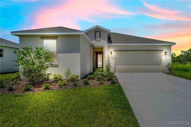 North Glen Lake Home For Sale in Weeki Wachee Florida