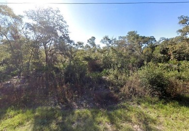 Lake Marion - Polk County Lot For Sale in Kissimmee Florida