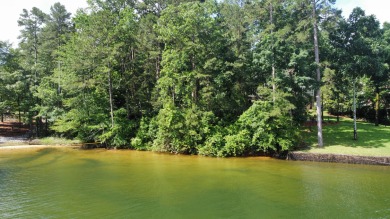 Welcome to Lot 51 in the prestigious gated community of Stoney - Lake Lot For Sale in Double Springs, Alabama