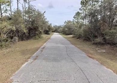 Discover the potential of this prime homesite located at 441 - photo 2