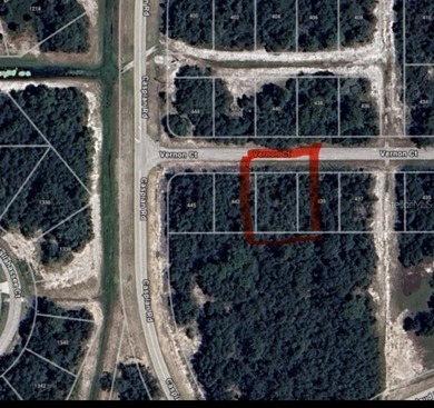Discover the potential of this prime homesite located at 441 - photo 3