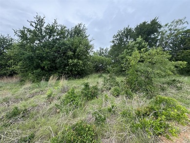 1.509 acres in North Star Pointe, a private gated community on - photo 33