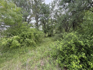1.509 acres in North Star Pointe, a private gated community on - photo 34