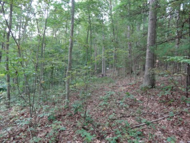 Nestled in the charming town of Lewisburg, WV, this