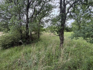 1.509 acres in North Star Pointe, a private gated community on - photo 35