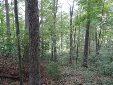 Nestled in the charming town of Lewisburg, WV, this