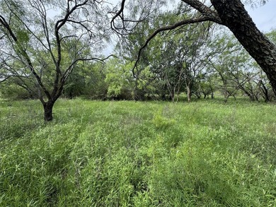 1.509 acres in North Star Pointe, a private gated community on - photo 39