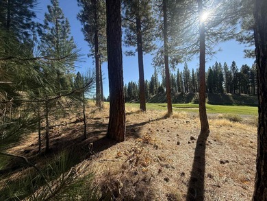 Lake Lot For Sale in Portola, California