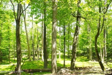 Lake Lot For Sale in Drums, Pennsylvania