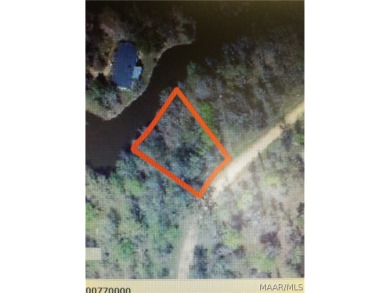 William Dannelly Reservoir / Lake Dannelly Lot For Sale in Orrville Alabama
