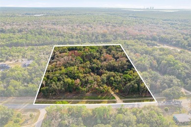 Withlacoochee River Acreage For Sale in Inglis Florida