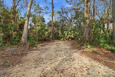 Exceptional opportunity with this 11.42-acre vacant land parcel - photo 4