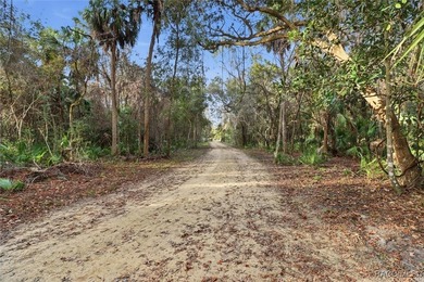 Exceptional opportunity with this 11.42-acre vacant land parcel - photo 5