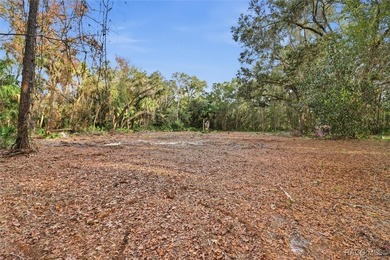 Exceptional opportunity with this 11.42-acre vacant land parcel - photo 6