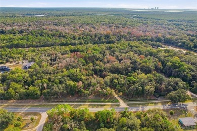 Exceptional opportunity with this 11.42-acre vacant land parcel - photo 7