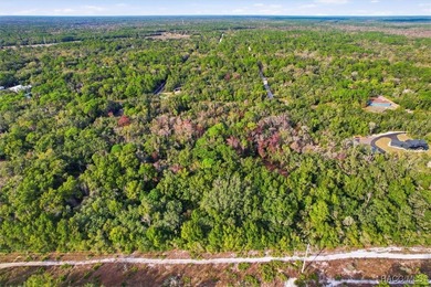 Exceptional opportunity with this 11.42-acre vacant land parcel - photo 8