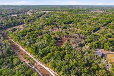 Exceptional opportunity with this 11.42-acre vacant land parcel - photo 9