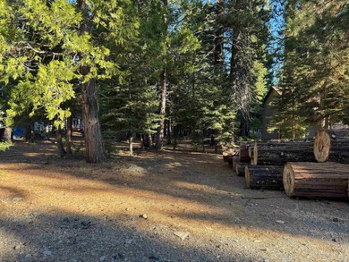 Lake Almanor Lot For Sale in Chester California