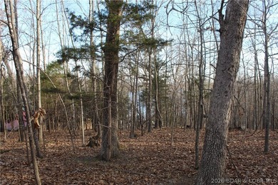 Nice building lot overlooking Gladstone Cove. Property lays nice - photo 11