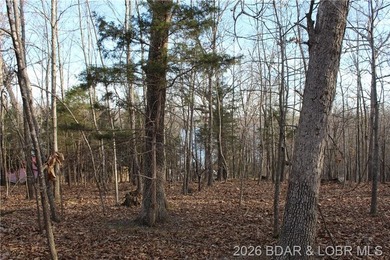 Nice building lot overlooking Gladstone Cove. Property lays nice - photo 11