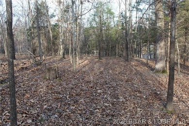 Nice building lot overlooking Gladstone Cove. Property lays nice - photo 12