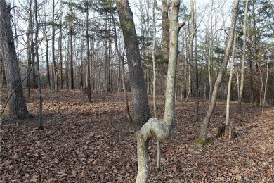 Nice building lot overlooking Gladstone Cove. Property lays nice - photo 14