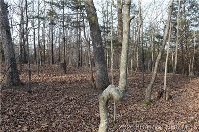 Nice building lot overlooking Gladstone Cove. Property lays nice - photo 14