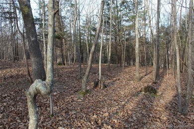 Nice building lot overlooking Gladstone Cove. Property lays nice - photo 15