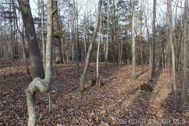 Nice building lot overlooking Gladstone Cove. Property lays nice - photo 15