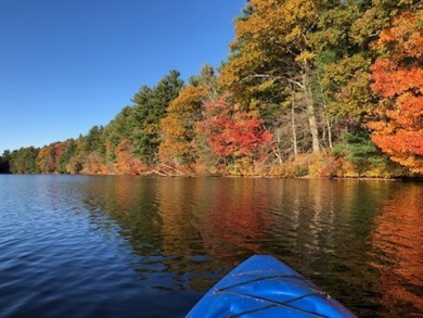 Amazing Lakefront Peninsula - photo 20