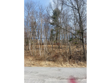(private lake, pond, coastal) Acreage For Sale in Harding Pennsylvania