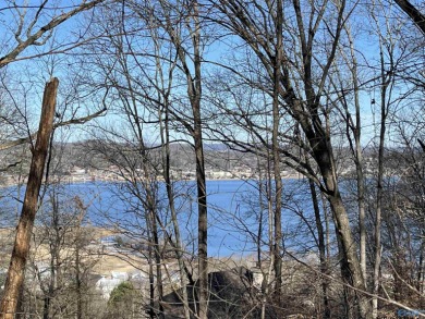Lake Guntersville Acreage For Sale in Guntersville Alabama