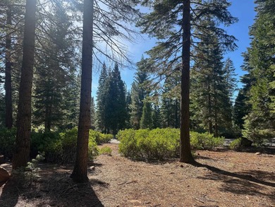 Lake Almanor Lot For Sale in Lake Almanor California