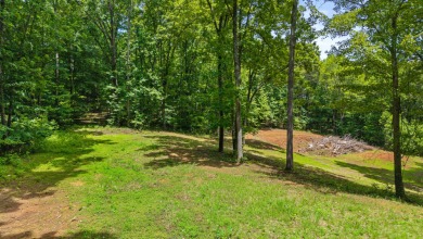 Watts Bar Lake Acreage For Sale in Ten Mile Tennessee