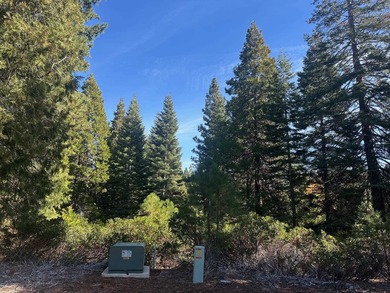 Lake Almanor Lot For Sale in Lake Almanor California