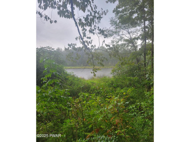 (private lake, pond, coastal) Acreage For Sale in Lake Ariel Pennsylvania